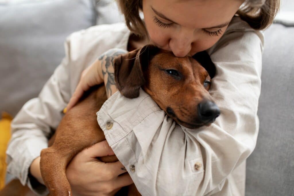 A person lovingly embraces a brown dachshund, kissing its forehead, expressing affection. Both are indoors, with soft focus on a cozy background.