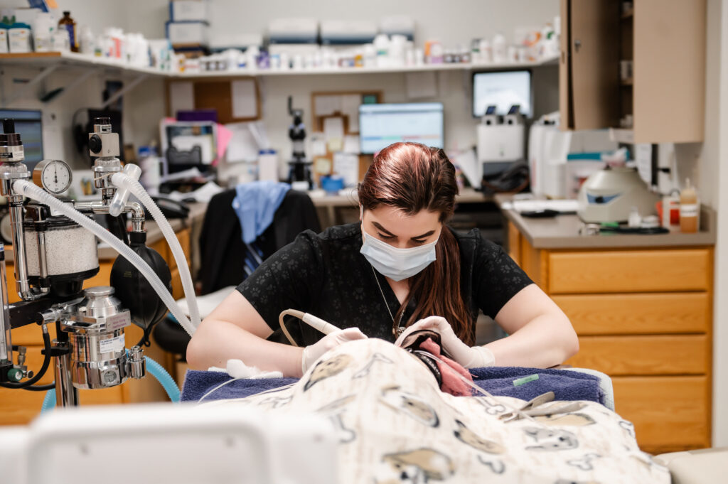 A person in a face mask works intently on a task in a clinical setting with medical equipment and supplies in the background.