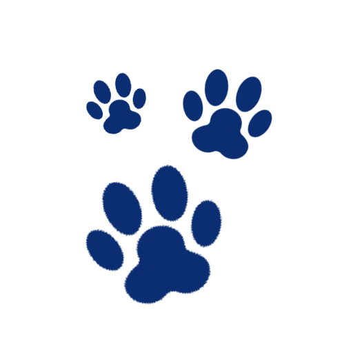 The image shows three blue paw prints of varying sizes arranged diagonally on a dark background, suggesting animal tracks or a pet-related theme.