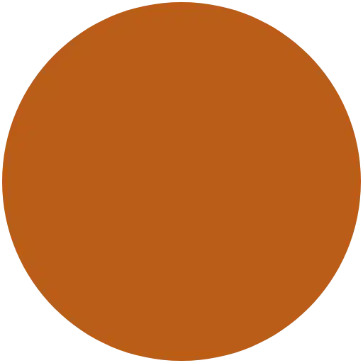 This image is a simple, solid-colored orange circle centered on a plain background. There are no distinguishable features, textures, or gradients within the circle.