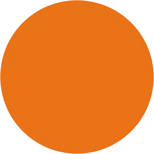 This image displays a simple, solid orange circle centered on a plain background. There is no texture, pattern, or any visible detail within the circle.